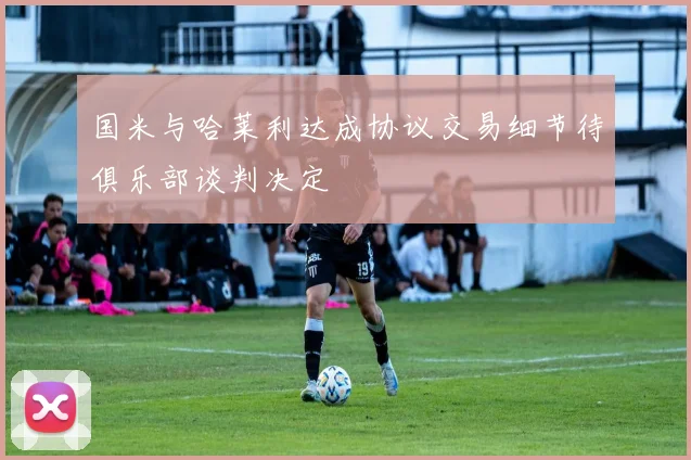 国米与哈莱利达成协议交易细节待俱乐部谈判决定