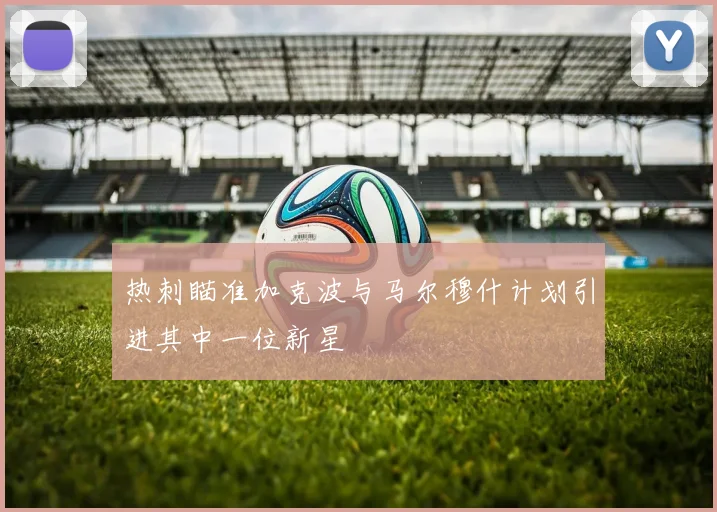 热刺瞄准加克波与马尔穆什计划引进其中一位新星
